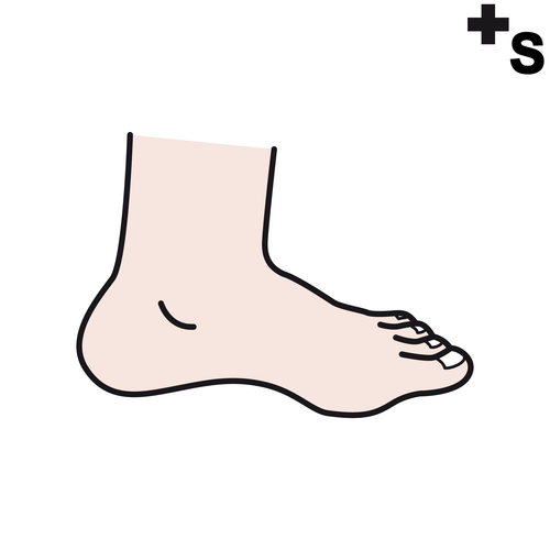 pies