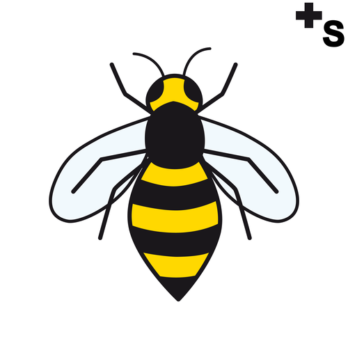 abejas